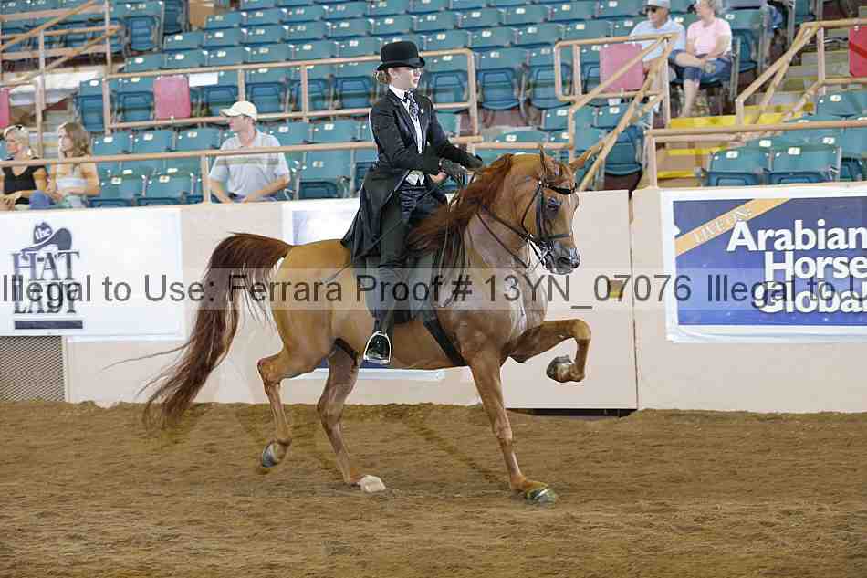 Proof 13yn_07076