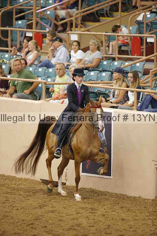 Proof 13yn_07077