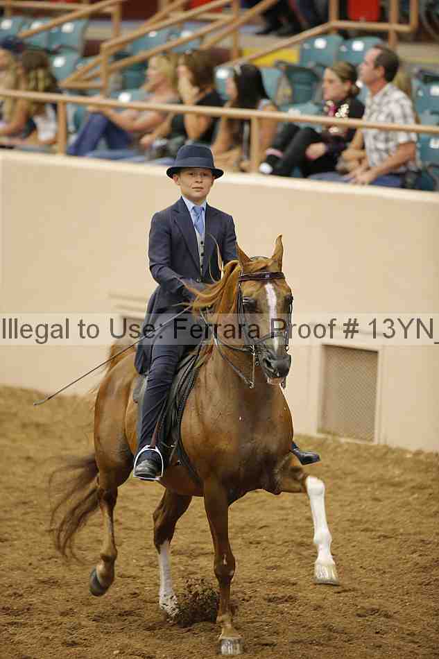 Proof 13yn_07078