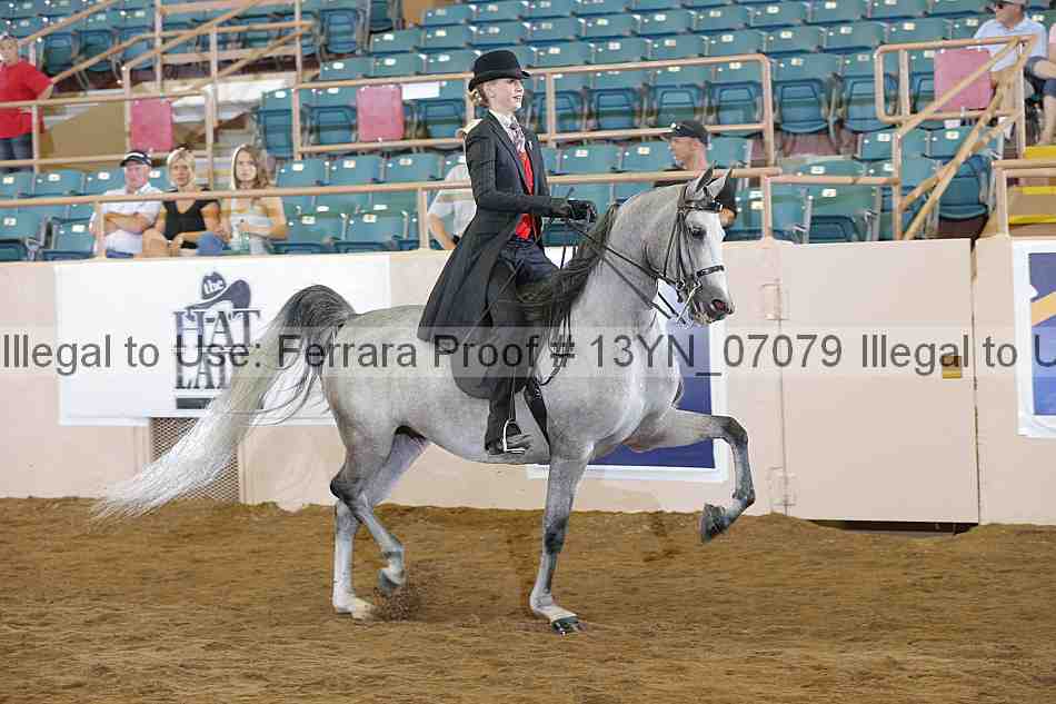 Proof 13yn_07079