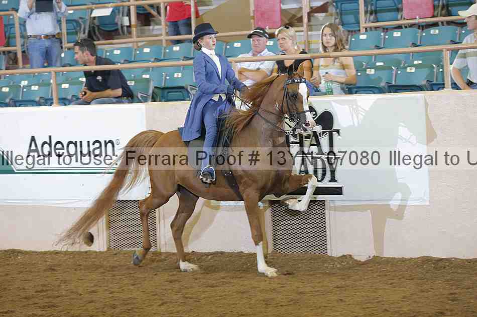 Proof 13yn_07080