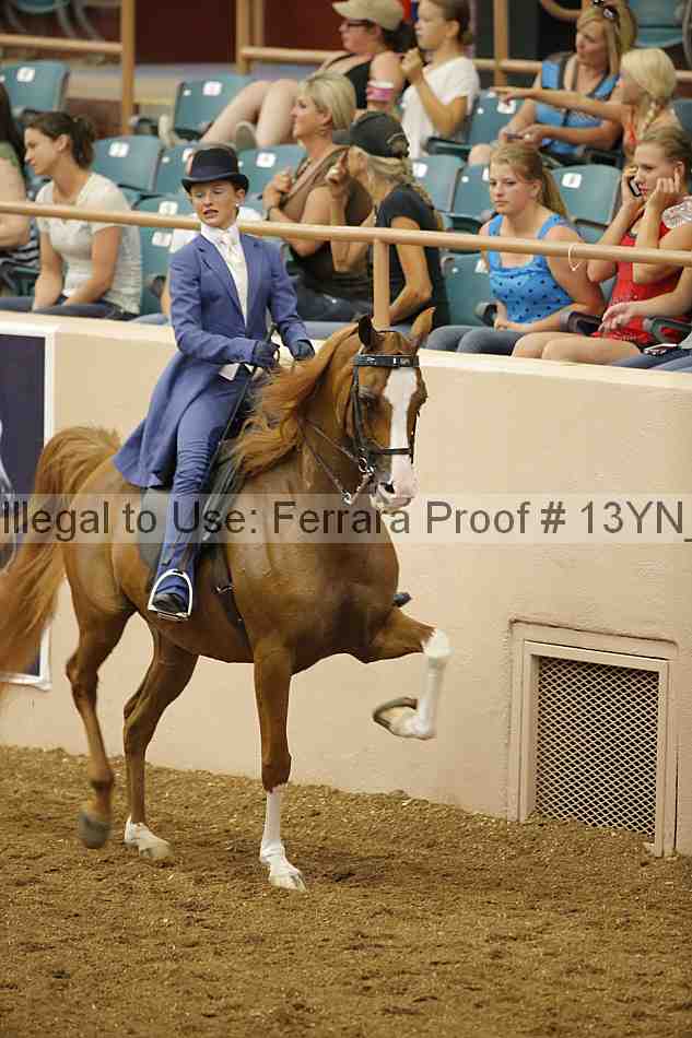 Proof 13yn_07081