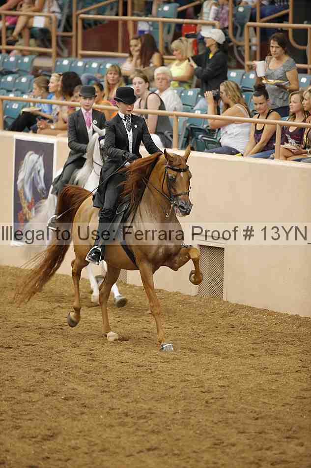 Proof 13yn_07082