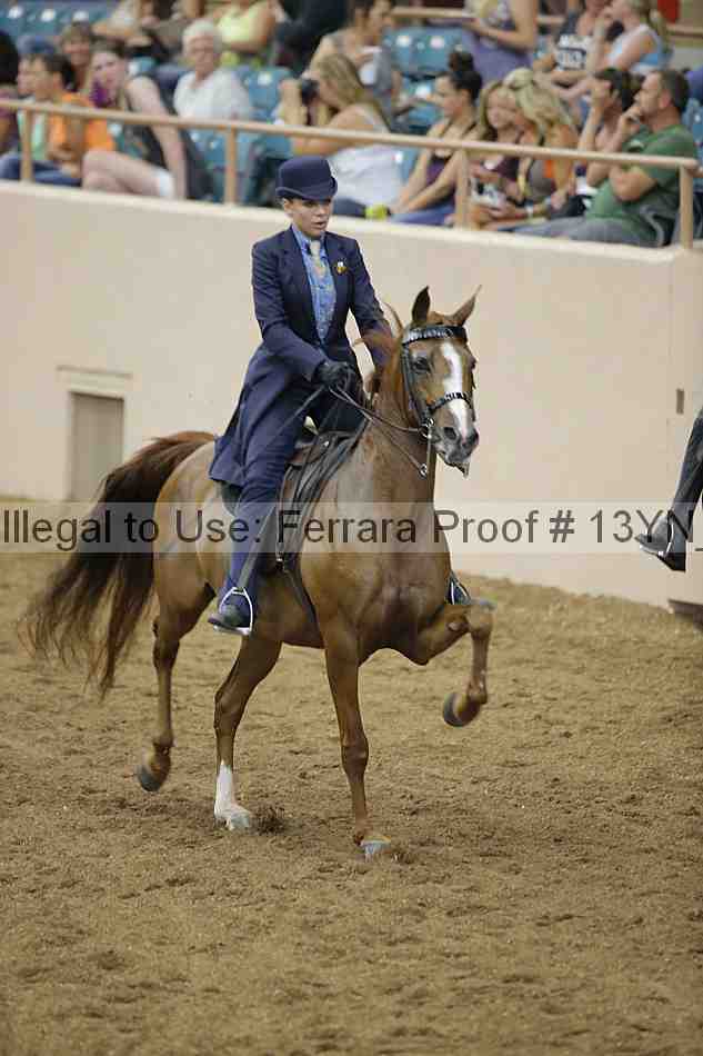 Proof 13yn_07083