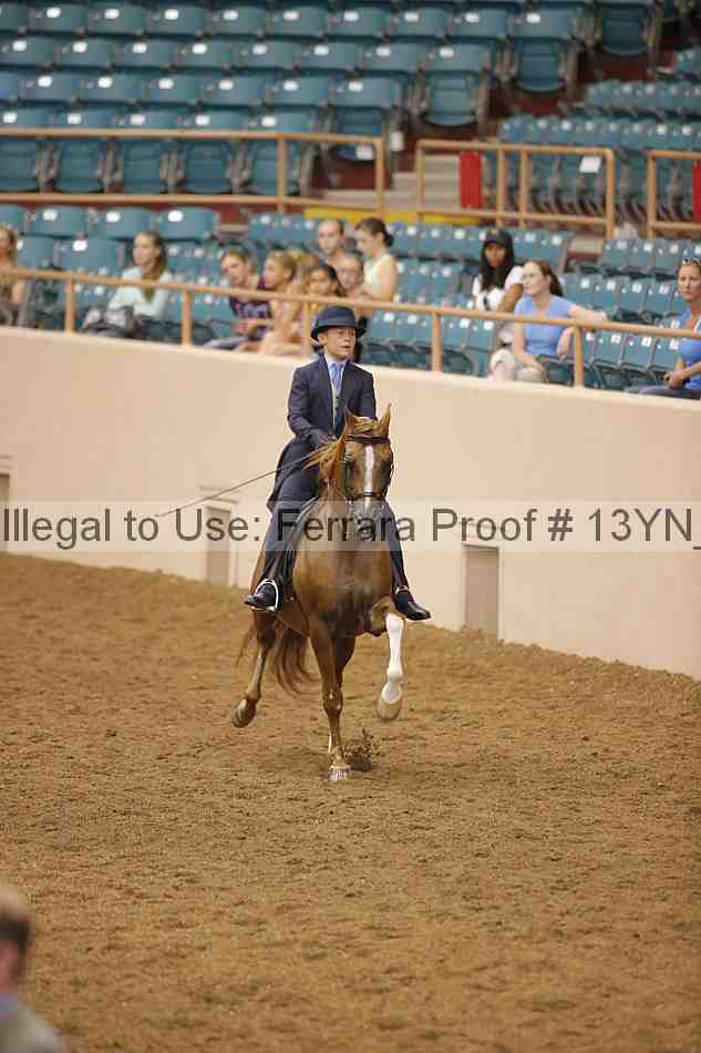 Proof 13yn_07084