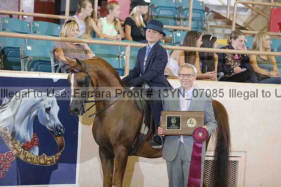 Proof 13yn_07085