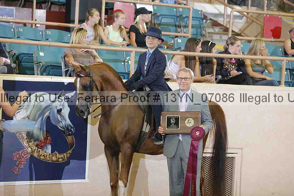 Proof 13yn_07086