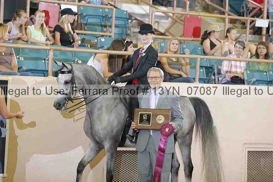 Proof 13yn_07087