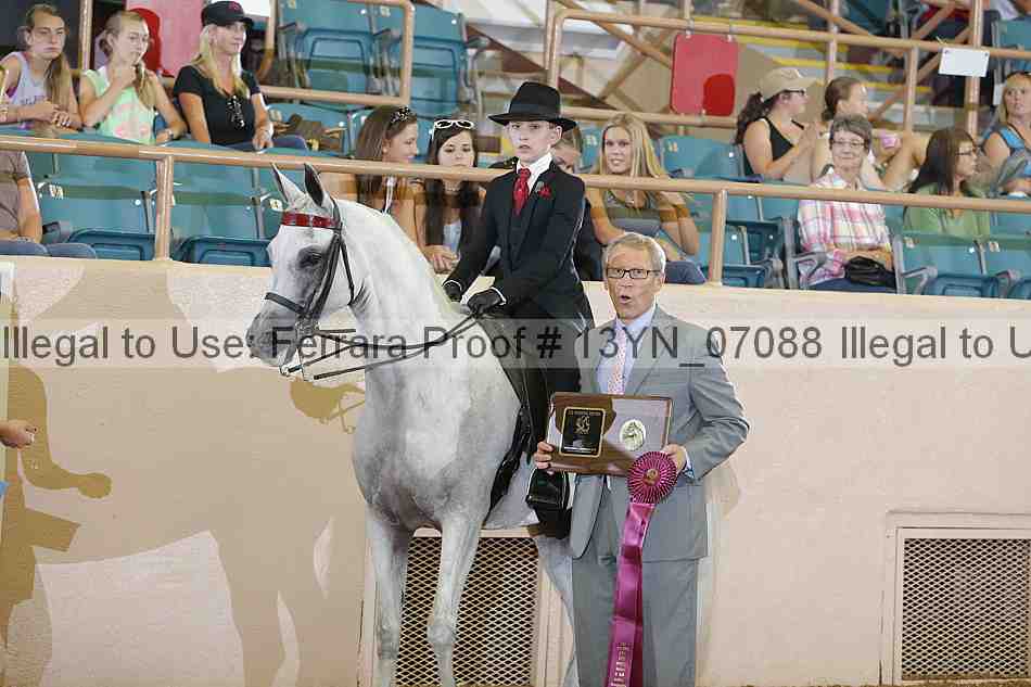 Proof 13yn_07088