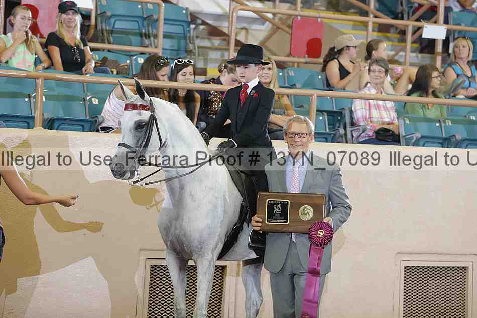 Proof 13yn_07089