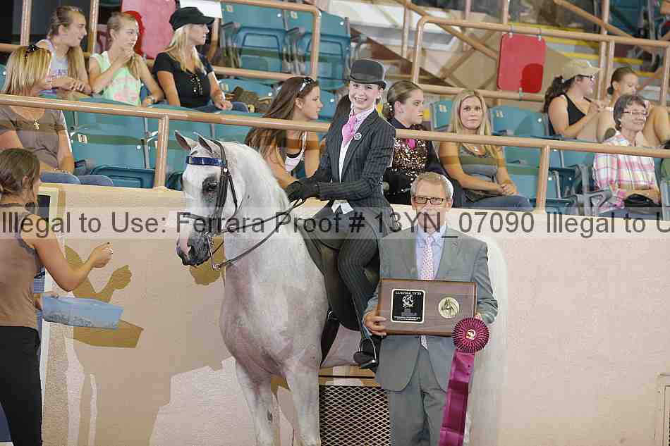 Proof 13yn_07090