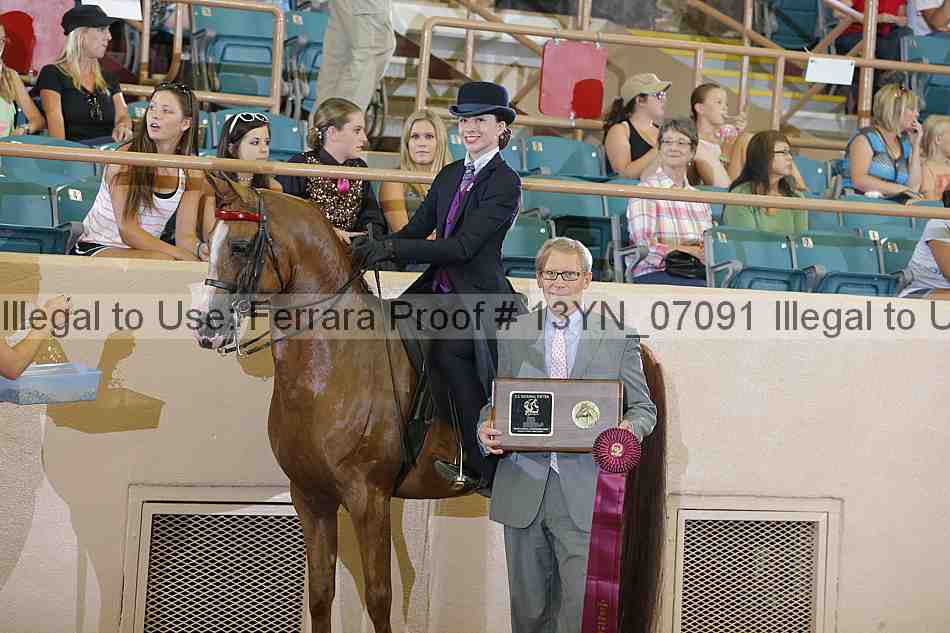 Proof 13yn_07091