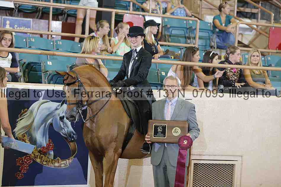 Proof 13yn_07093