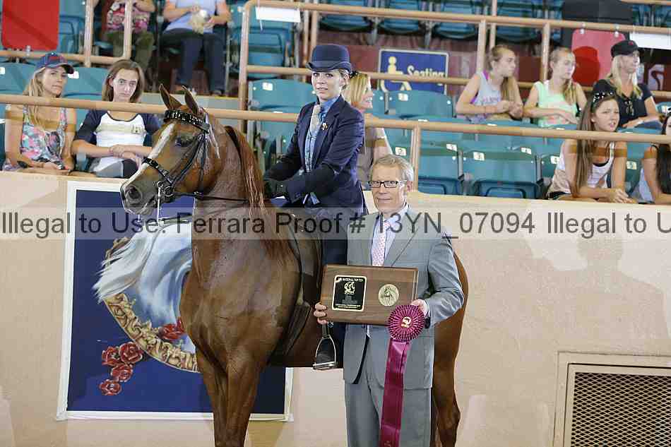 Proof 13yn_07094