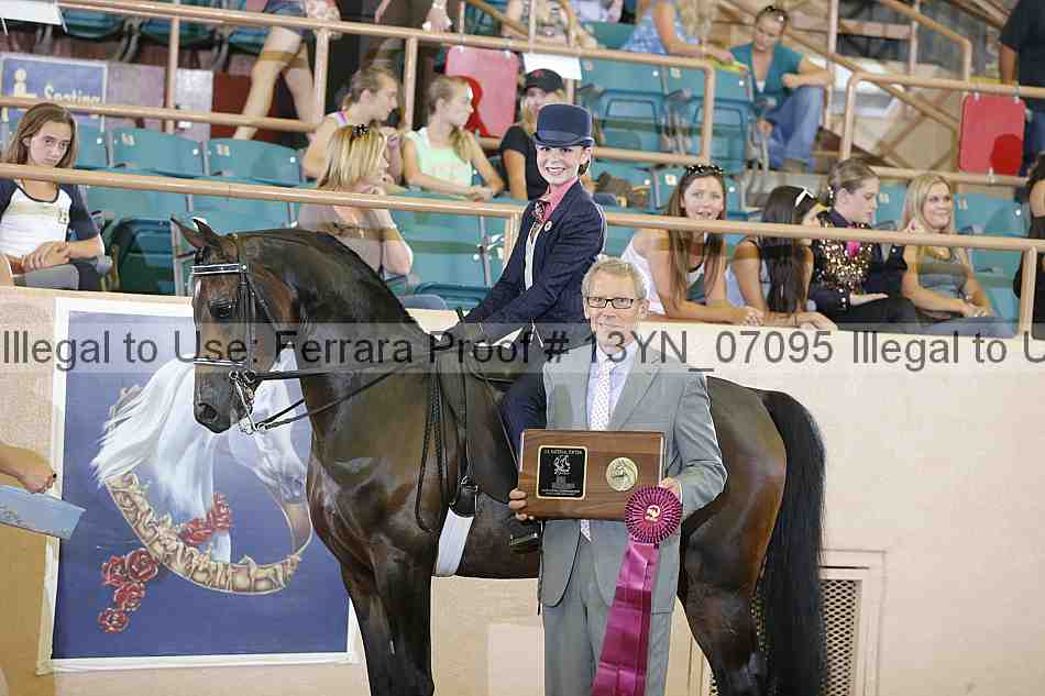 Proof 13yn_07095