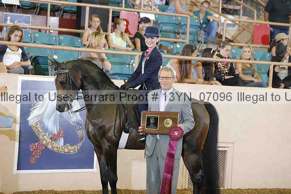 Proof 13yn_07096
