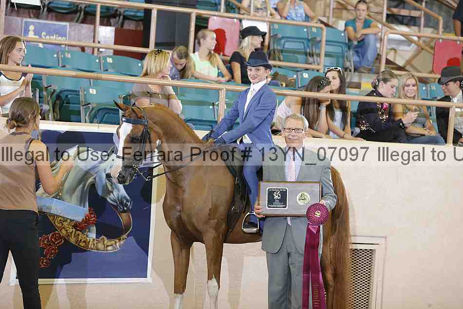 Proof 13yn_07097
