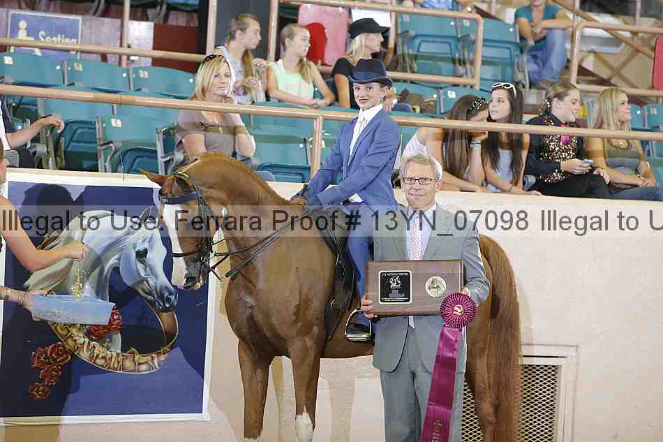 Proof 13yn_07098