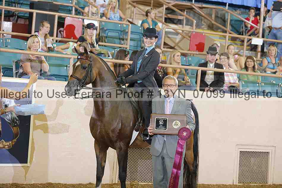 Proof 13yn_07099