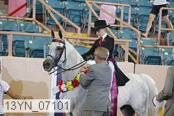 13yn_07101 proof