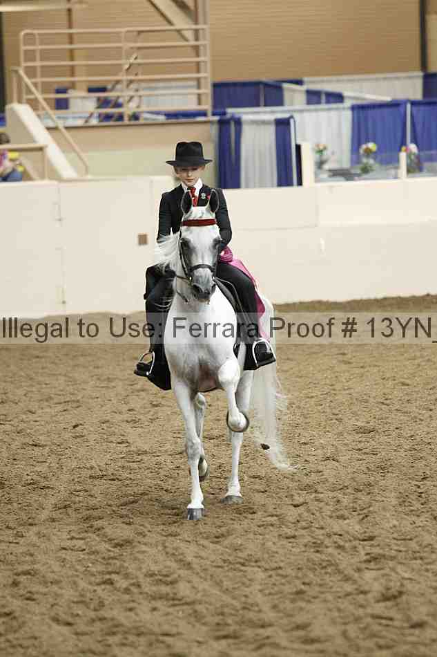 Proof 13yn_07102