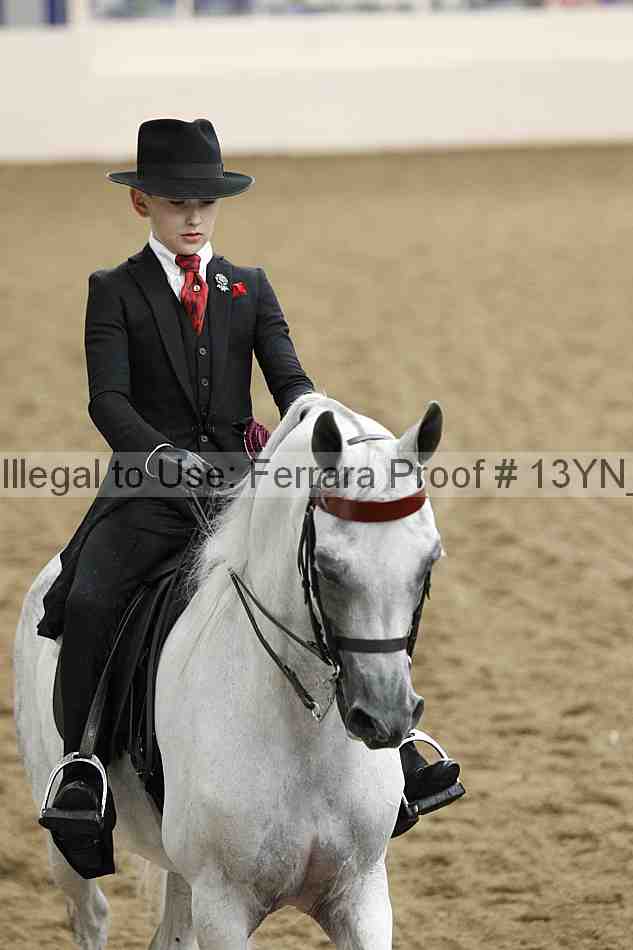 Proof 13yn_07104