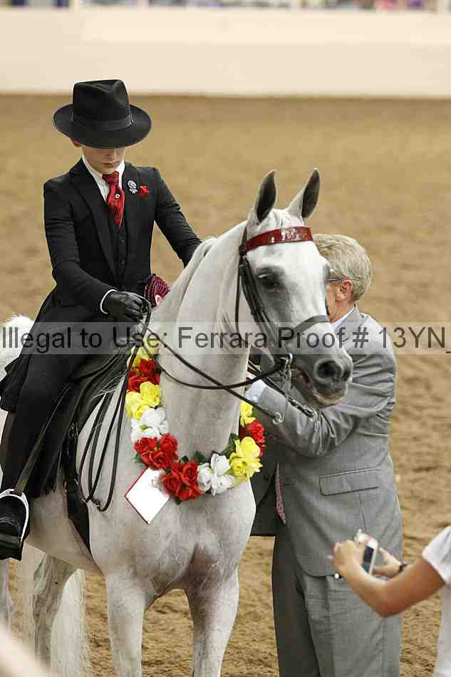 Proof 13yn_07105