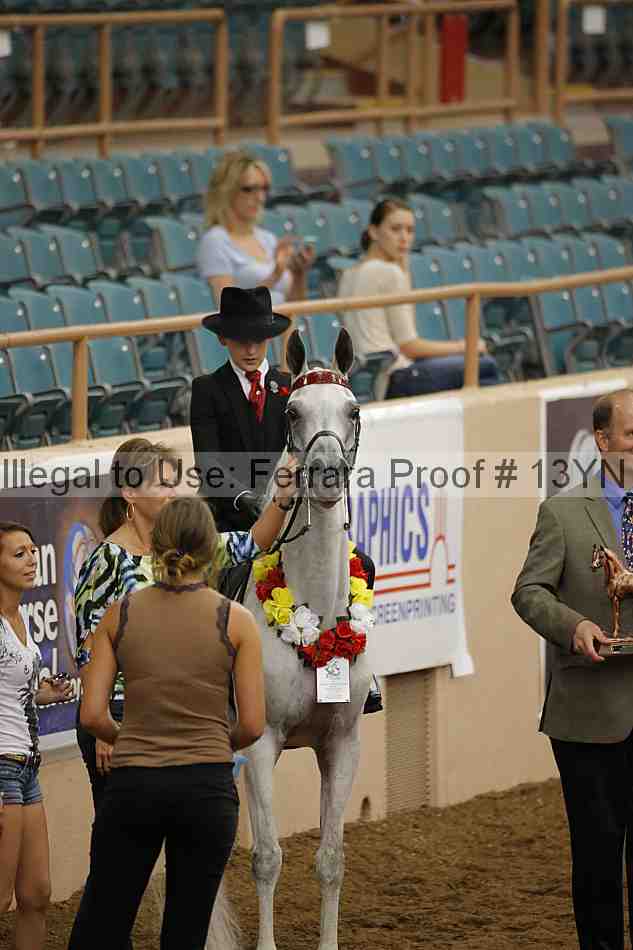 Proof 13yn_07107