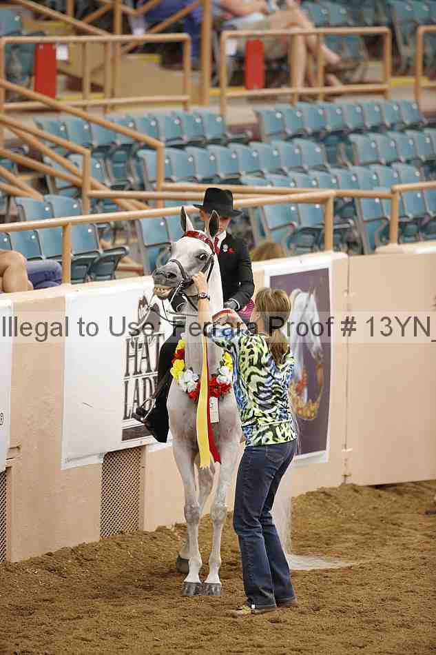 Proof 13yn_07115