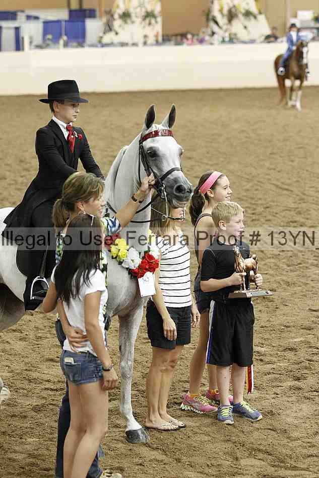 Proof 13yn_07117