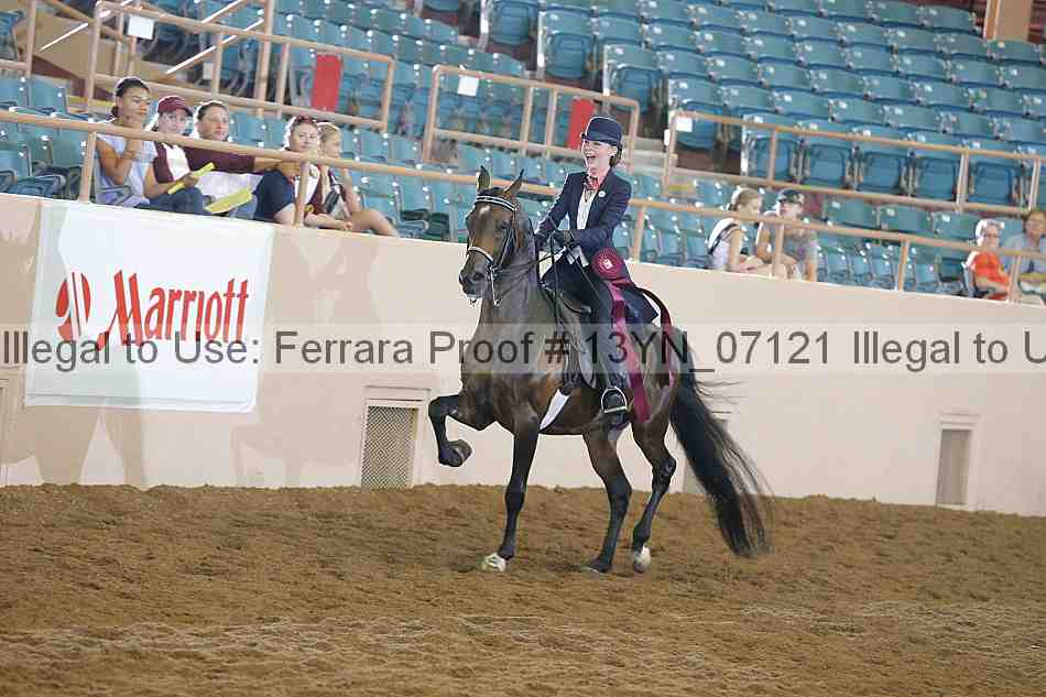 Proof 13yn_07121