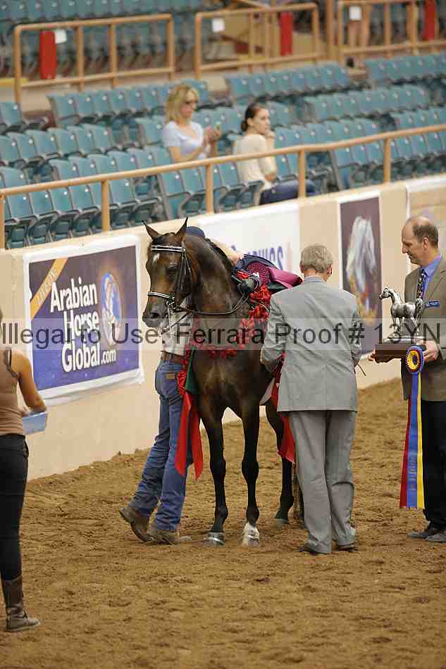 Proof 13yn_07134