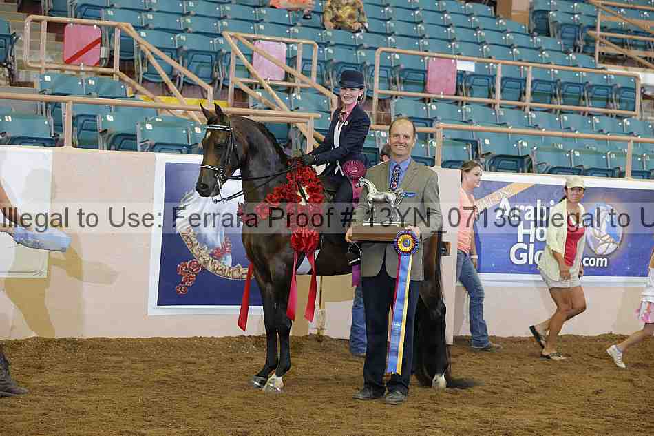 Proof 13yn_07136