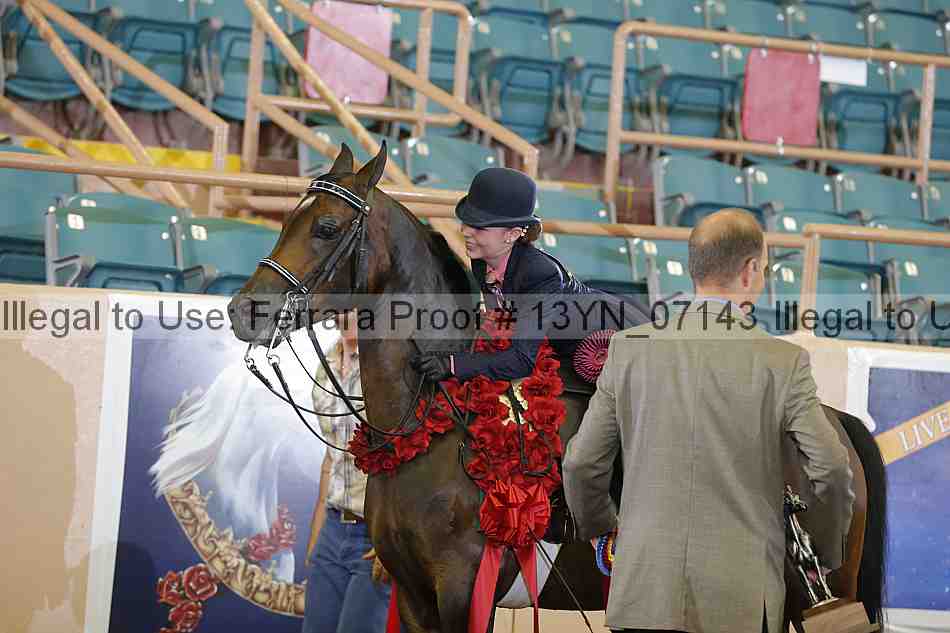Proof 13yn_07143