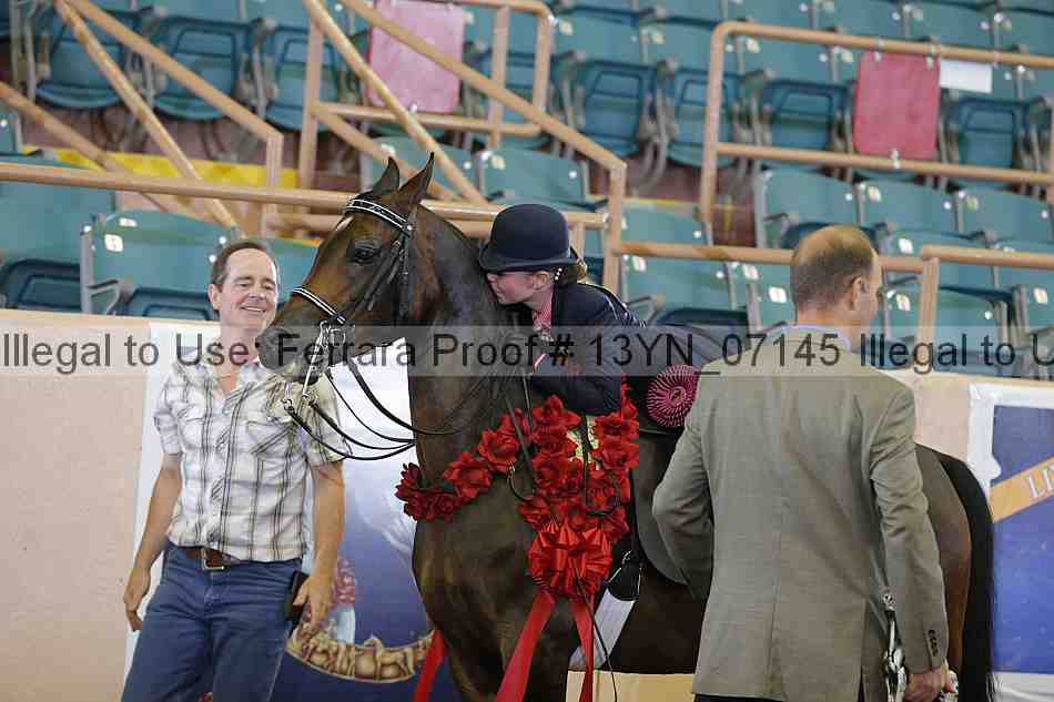 Proof 13yn_07145