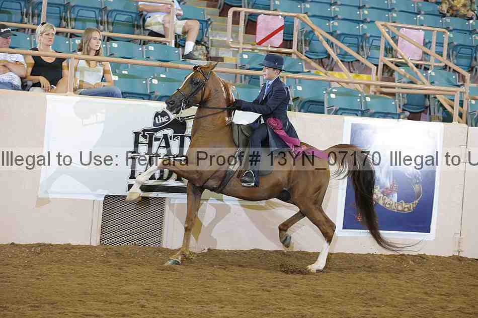 Proof 13yn_07170