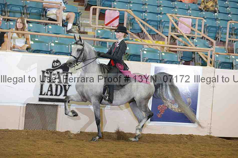 Proof 13yn_07172