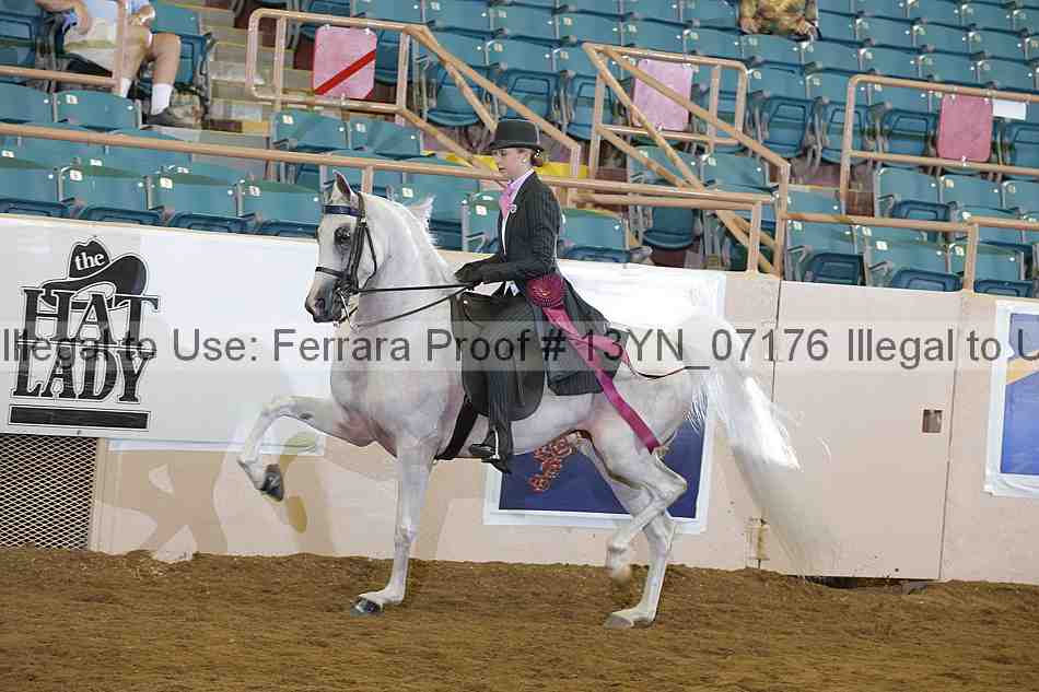 Proof 13yn_07176