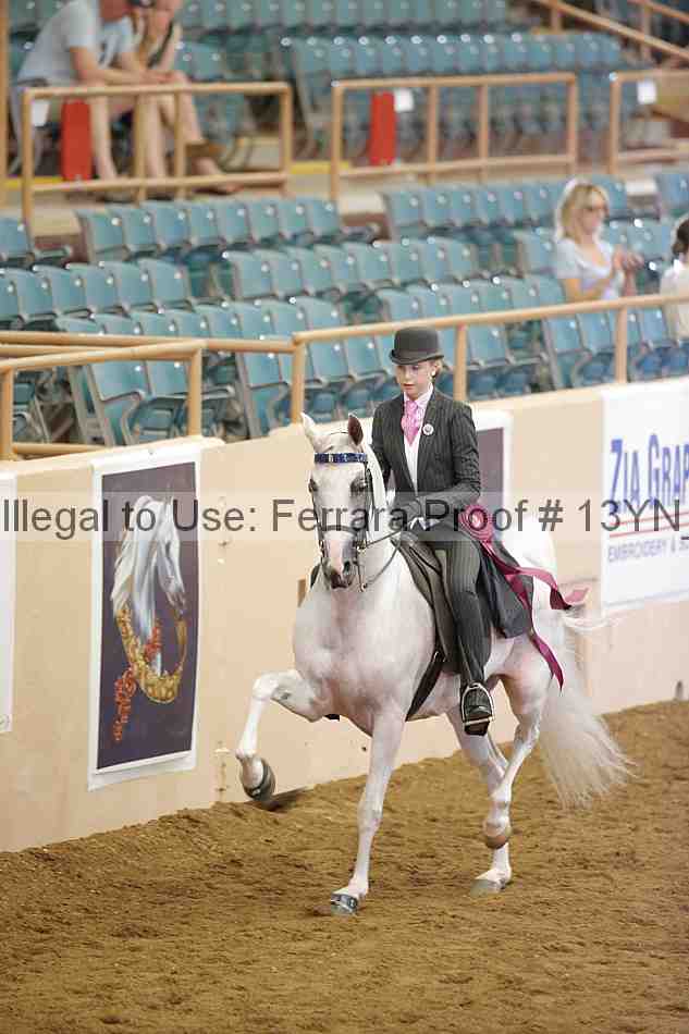 Proof 13yn_07177