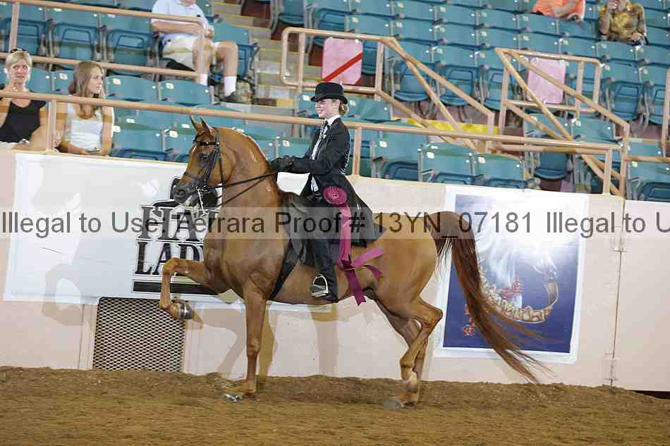 Proof 13yn_07181