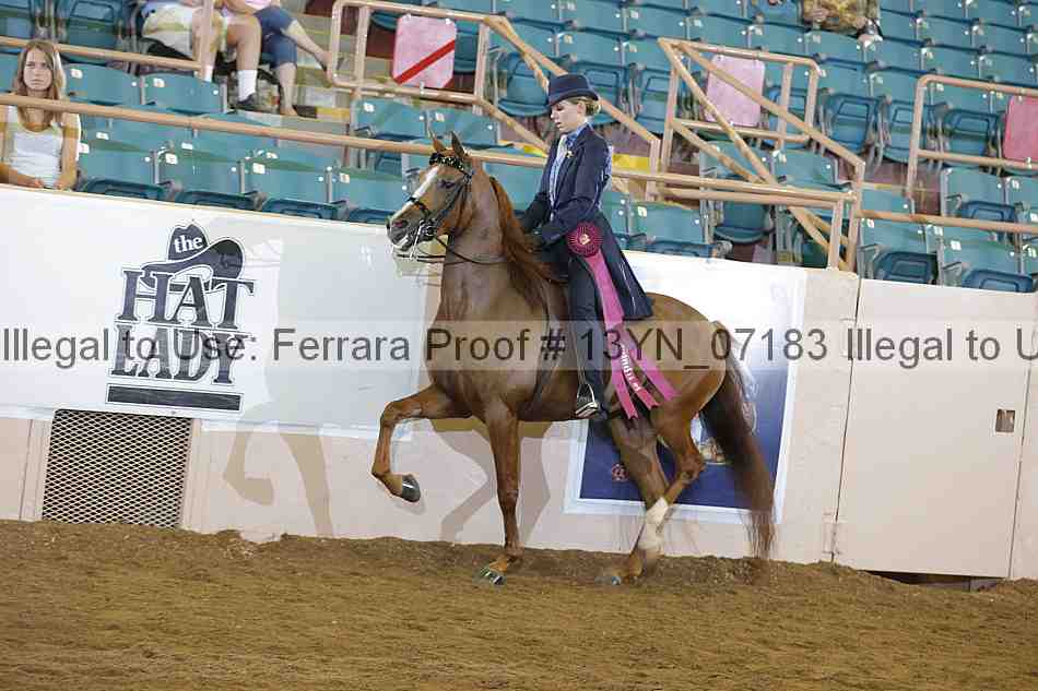 Proof 13yn_07183