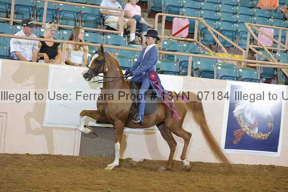 Proof 13yn_07184