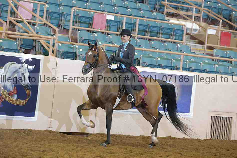 Proof 13yn_07186