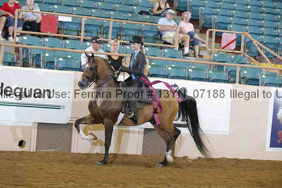 Proof 13yn_07188