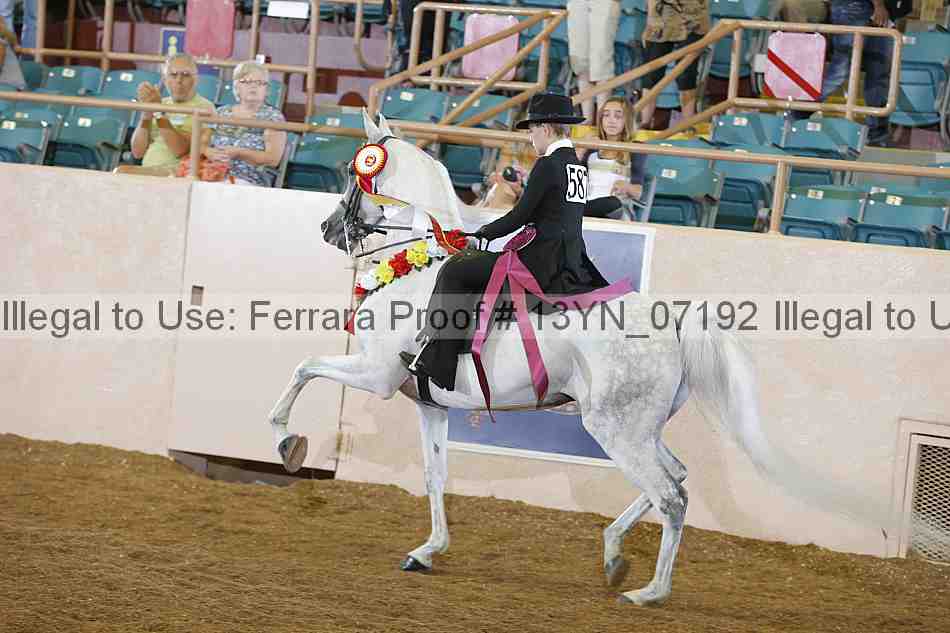 Proof 13yn_07192