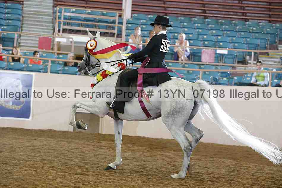 Proof 13yn_07198
