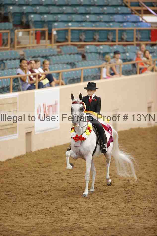Proof 13yn_07199