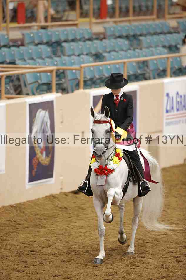 Proof 13yn_07200