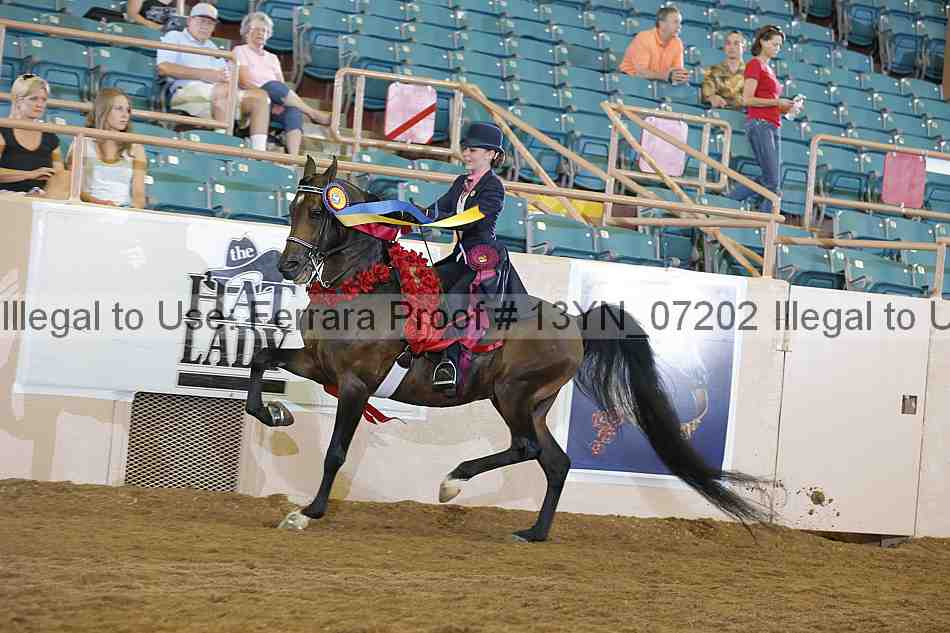 Proof 13yn_07202
