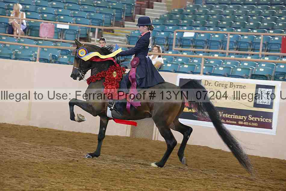 Proof 13yn_07204